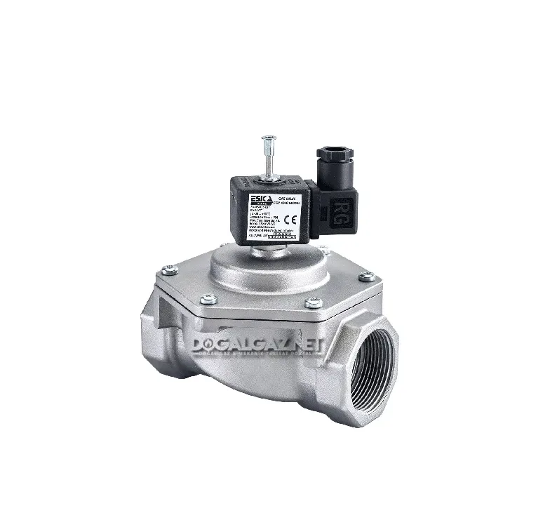 Eska EGV 1050 selenoid vana normalde kapalı DN50 2"
