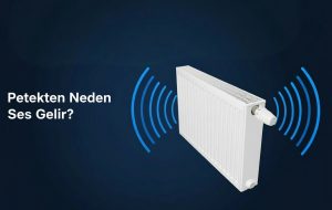 Petekten neden ses gelir? Çıt çıt, tak tak, su sesi, uğultu neden olur? Tehlikeli mi? En etkili çözüm önerilerini adım adım öğrenin.