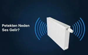 Petekten neden ses gelir? Çıt çıt, tak tak, su sesi, uğultu neden olur? Tehlikeli mi? En etkili çözüm önerilerini adım adım öğrenin.