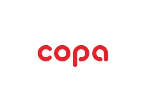 copa ısı