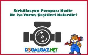 Sirkülasyon Pompaları: Nedir, Çeşitleri ve Seçim Rehberi