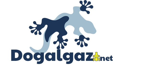 Dogalgaz.net Logo